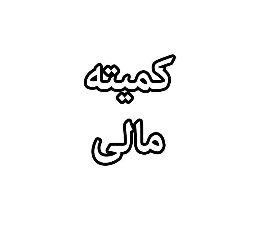 کمیته مالی